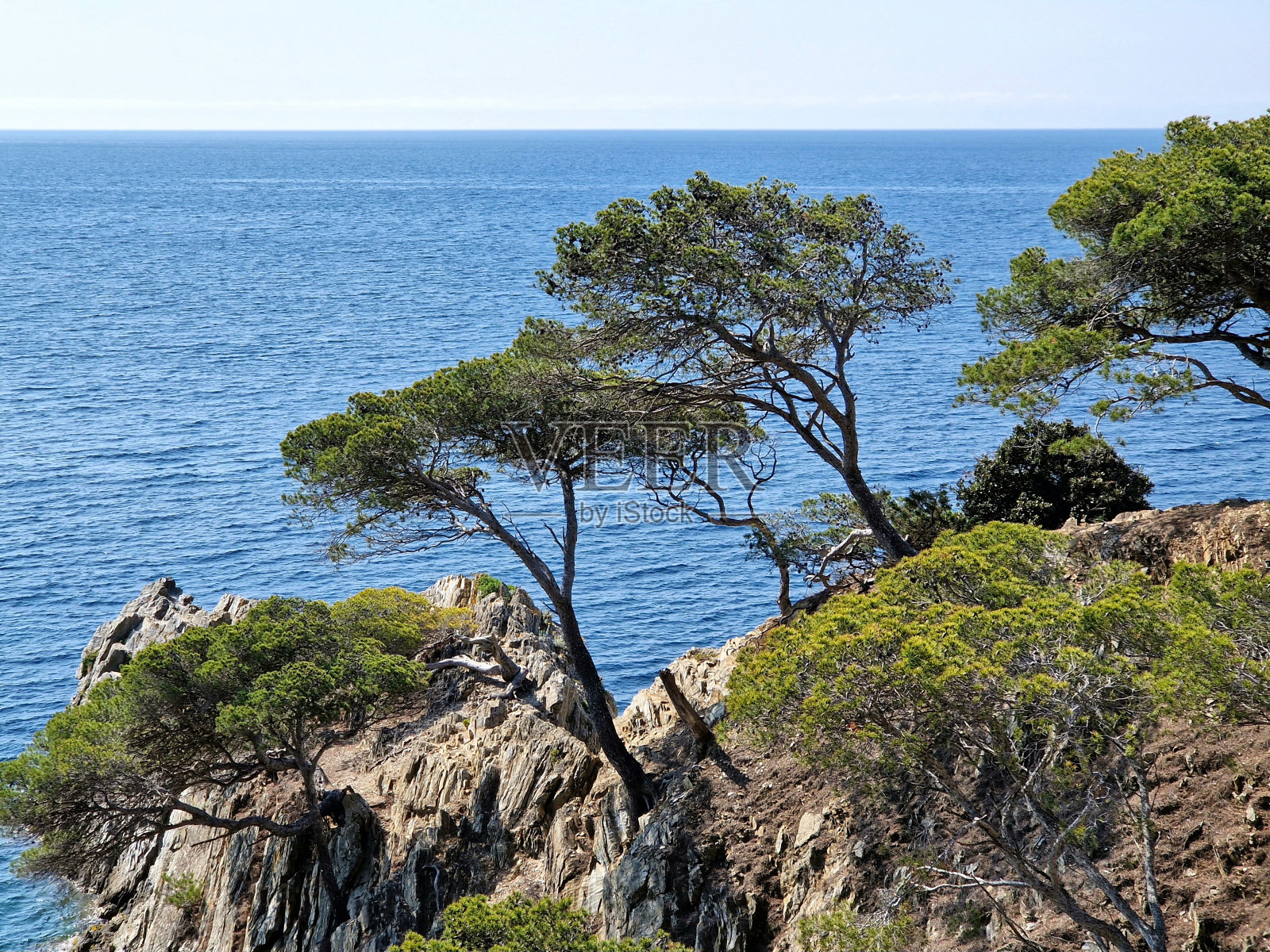 法国蔚蓝海岸——在阳光明媚的春日里，清澈碧蓝的海水和陡峭悬崖上的树木照片摄影图片
