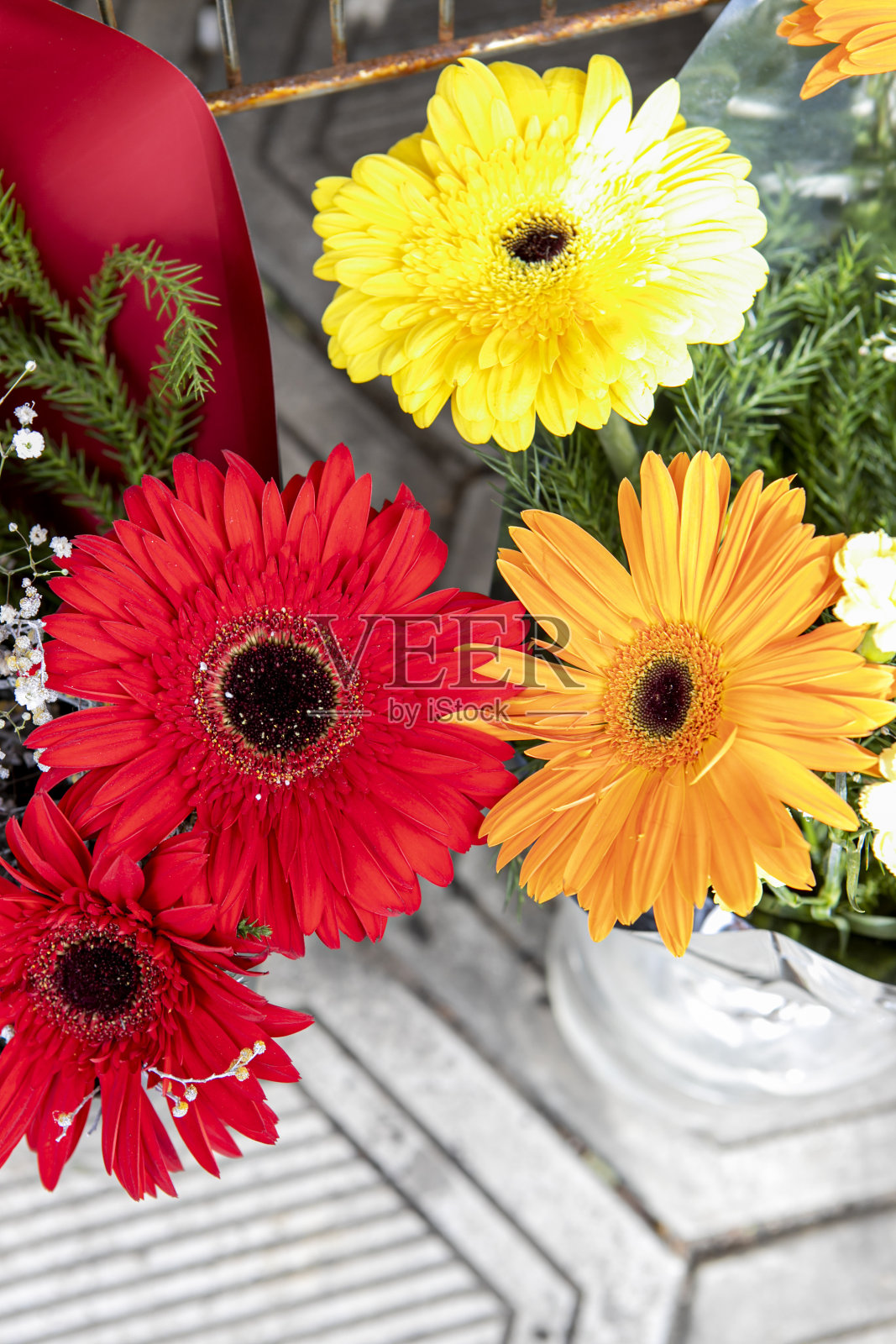 花照片摄影图片