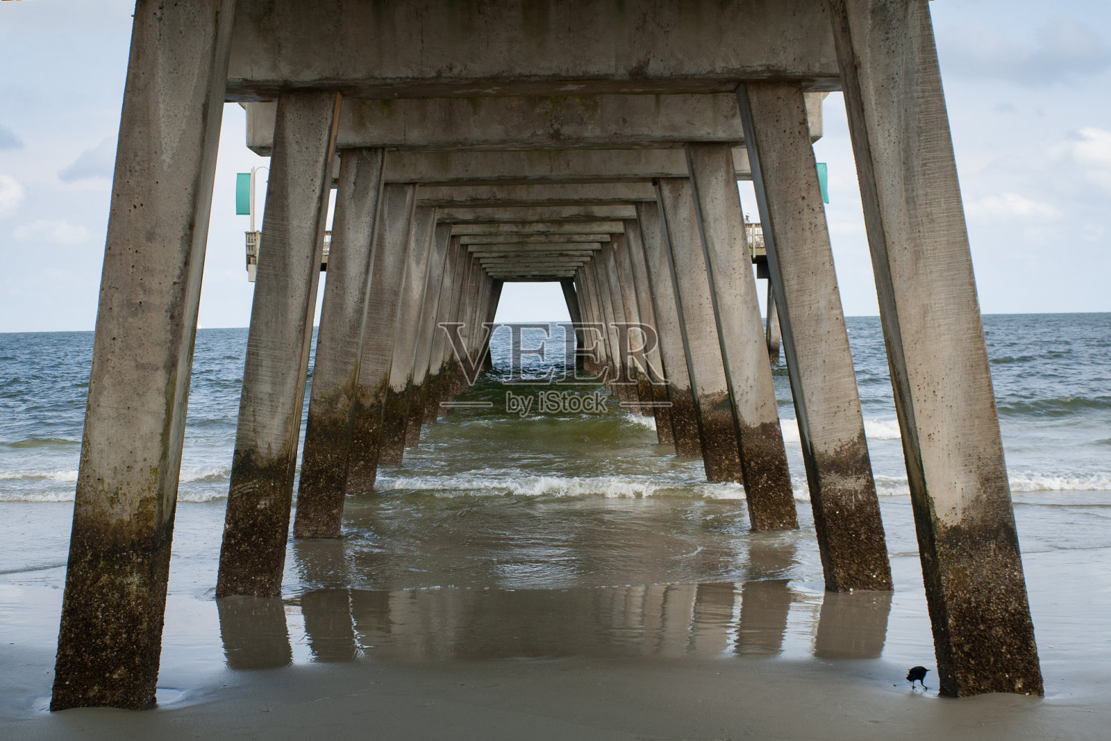 泰比码头岛照片摄影图片