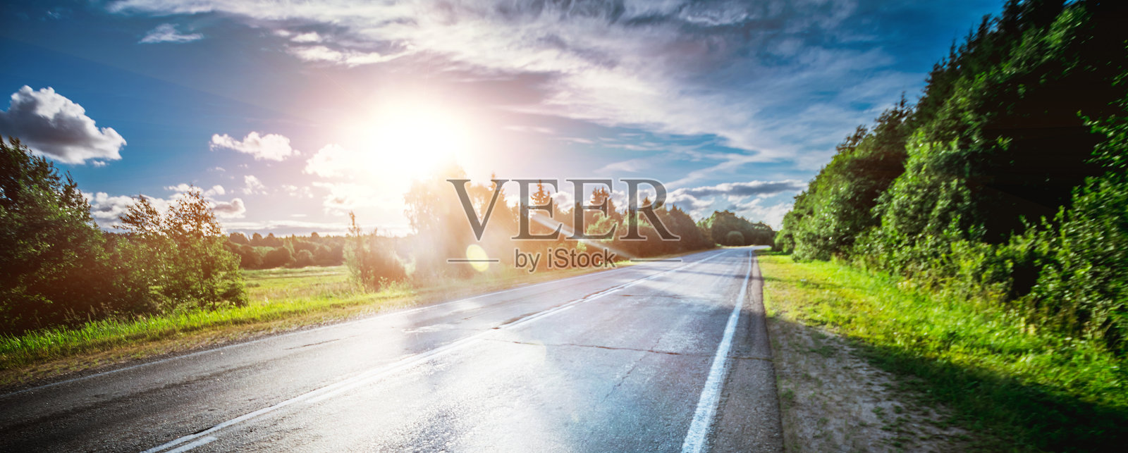 日出美丽的森林之路照片摄影图片