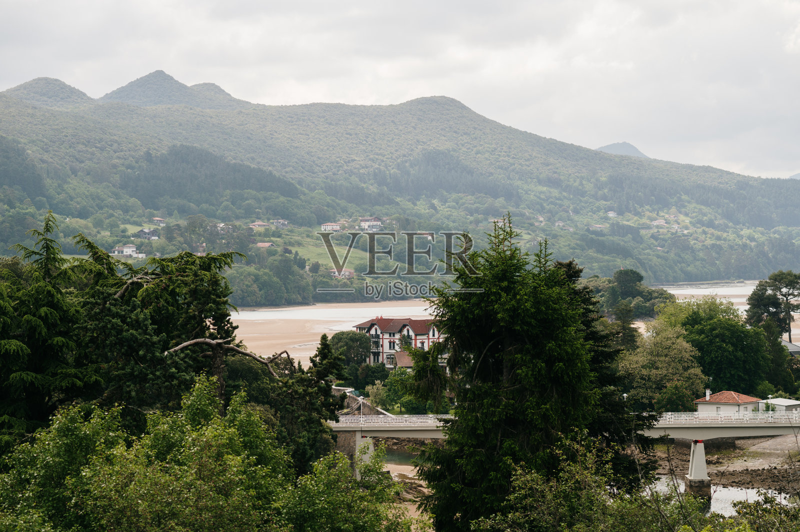 Urdaibai河口照片摄影图片