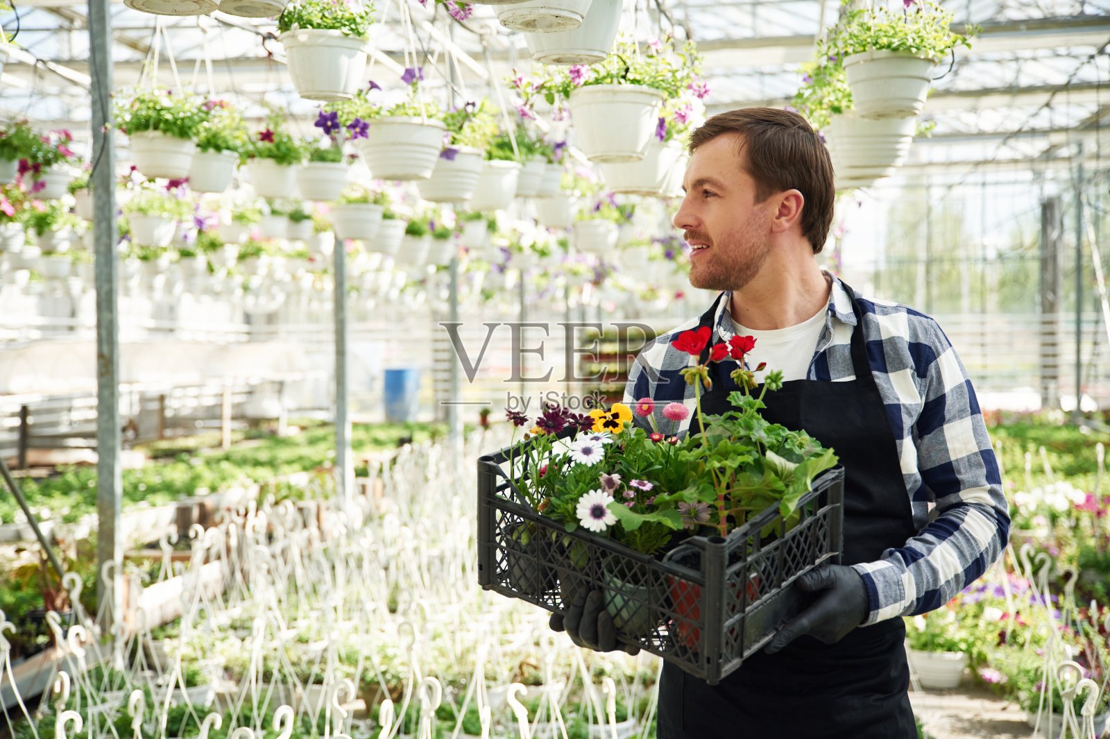 收集订单。在塑料盒里。花匠在园艺中心工作。成功的员工就像在明亮的温室里照片摄影图片