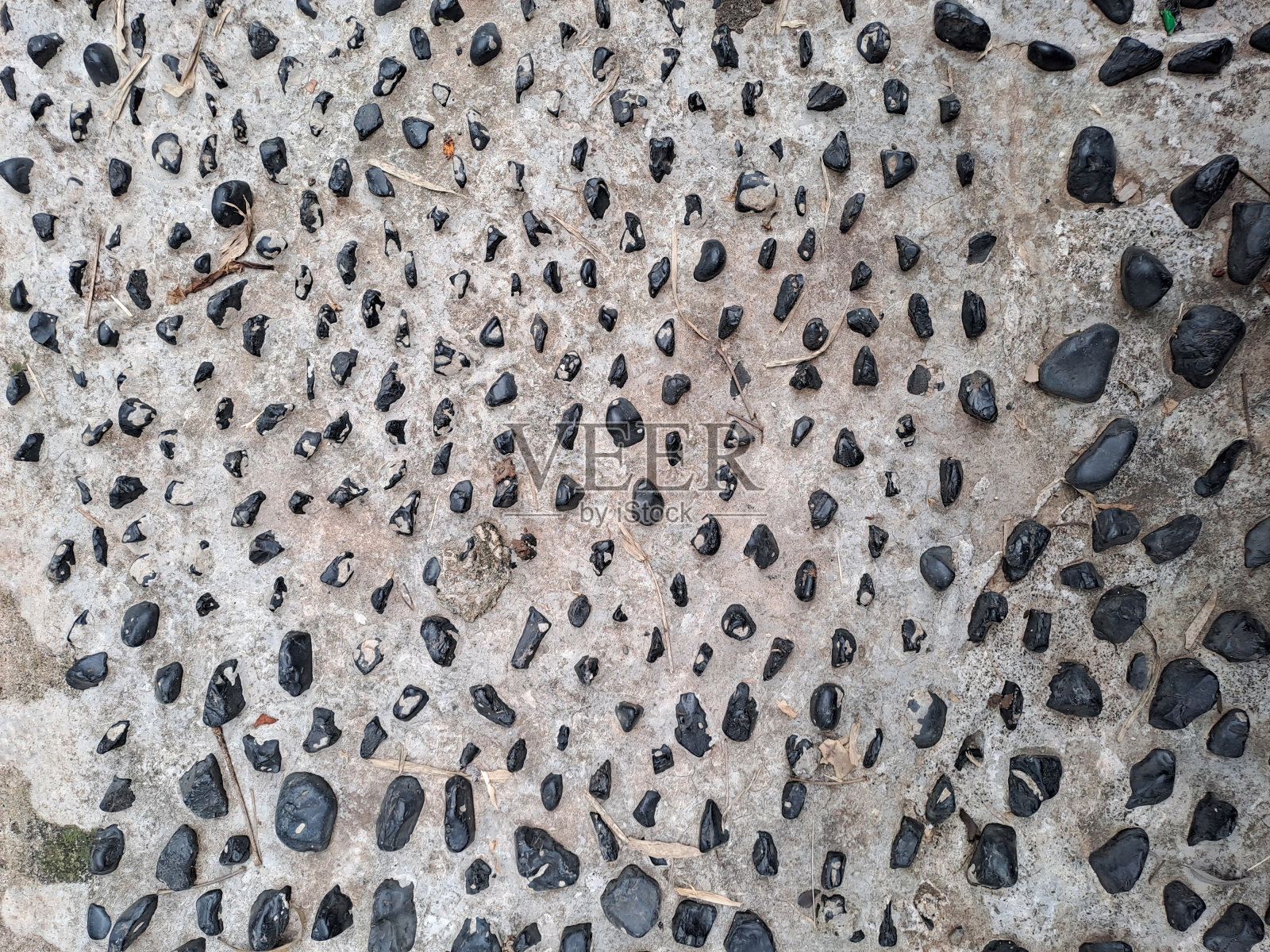 鹅卵石走过的近距离照片照片摄影图片