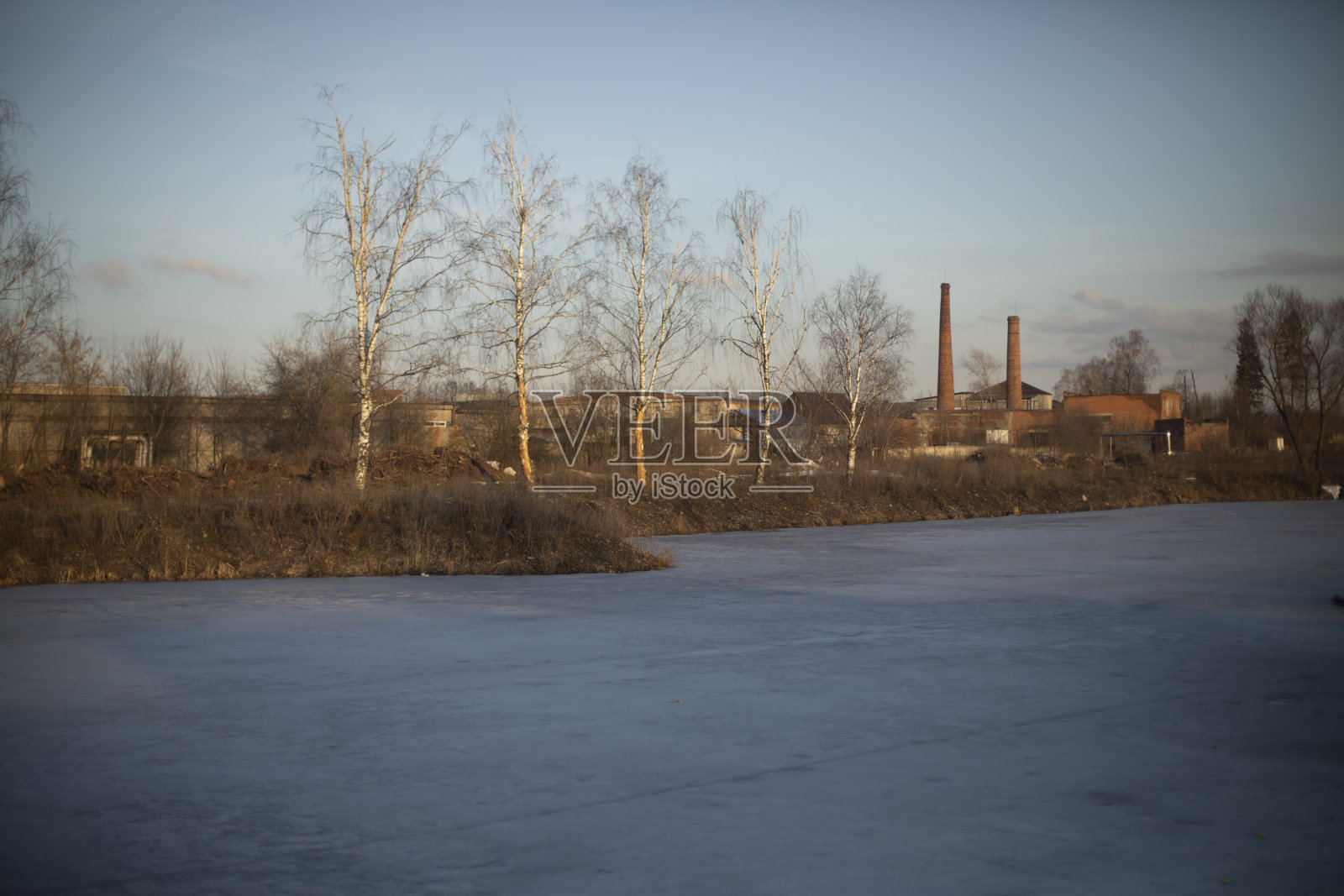 湖的景色。植物景观。湖上结了冰。照片摄影图片