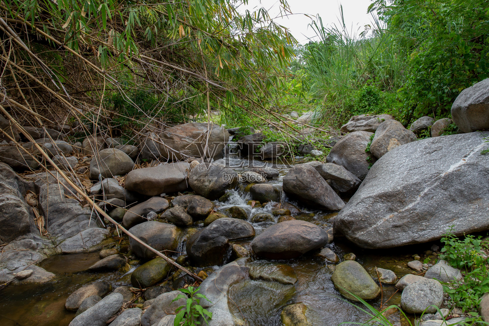 美在自然，彩色图像，天，环境，下降照片摄影图片