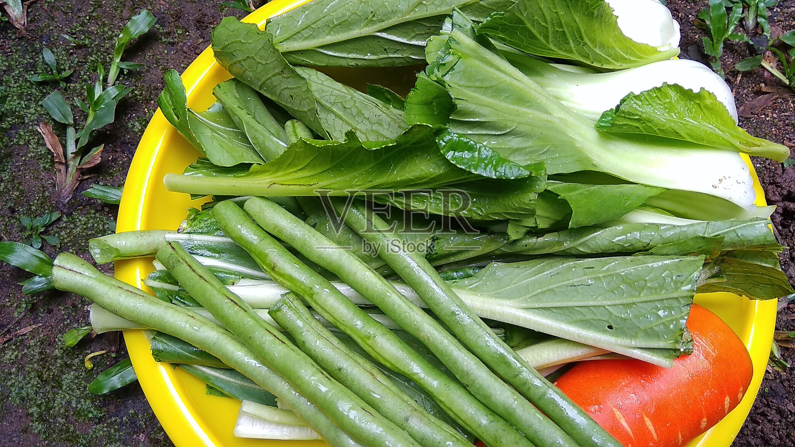 热带蔬菜照片摄影图片