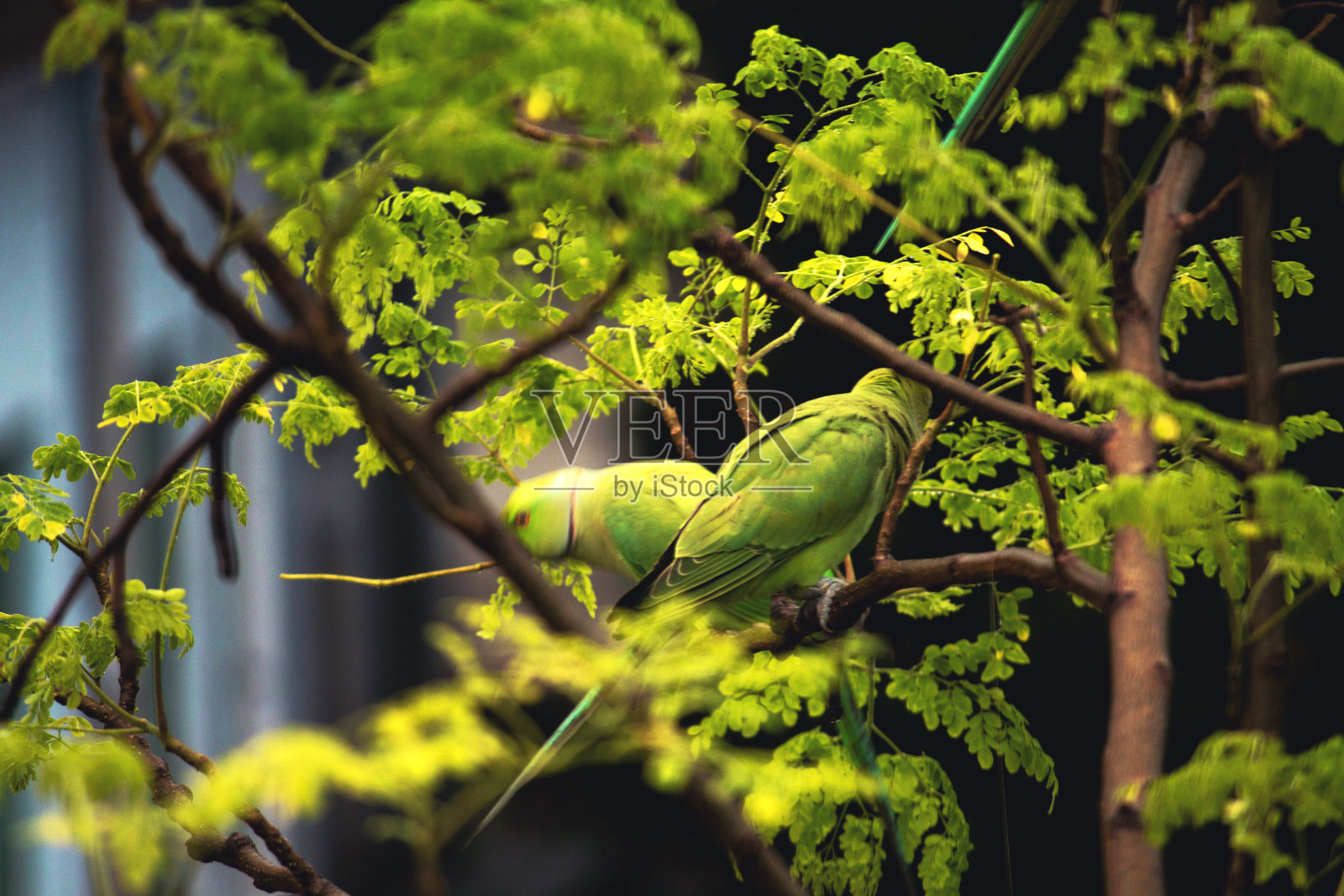 冷却时间照片摄影图片