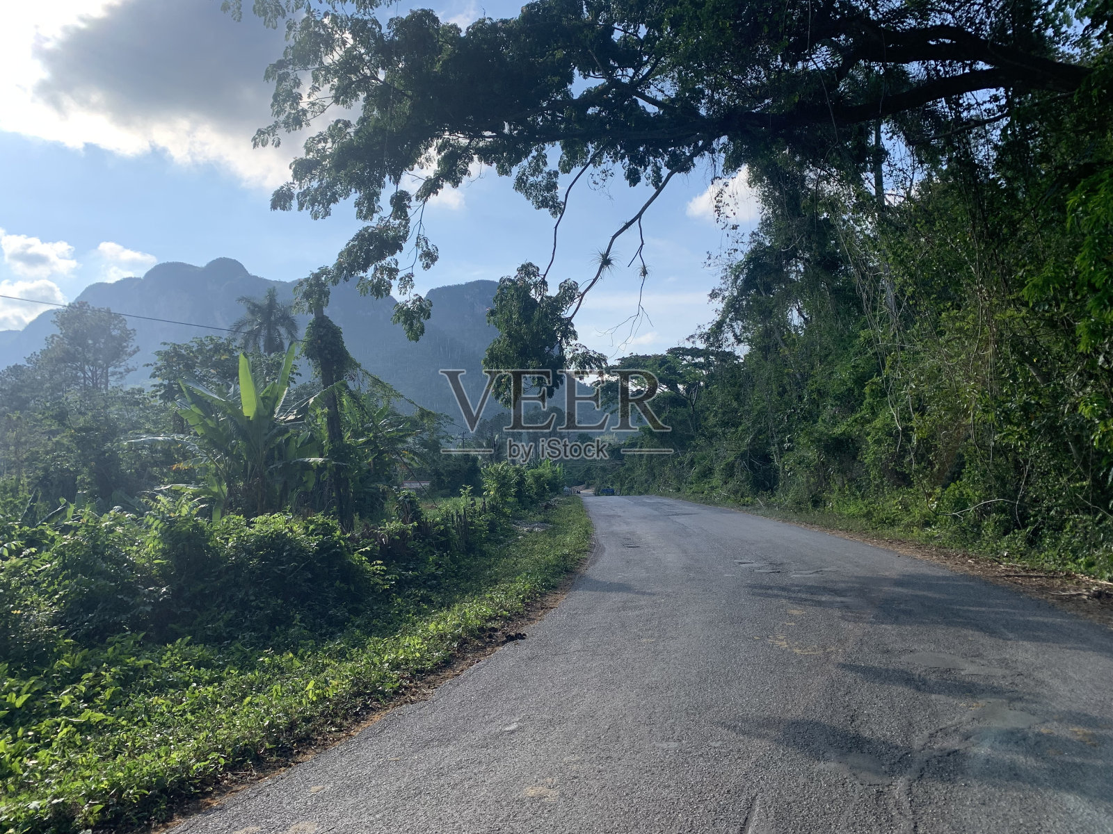 日落时的摩格特照片摄影图片