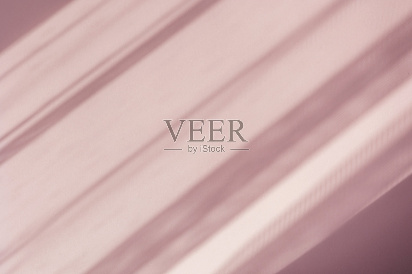 植物在粉红色背景上的阴影，留出文字空间。照片摄影图片