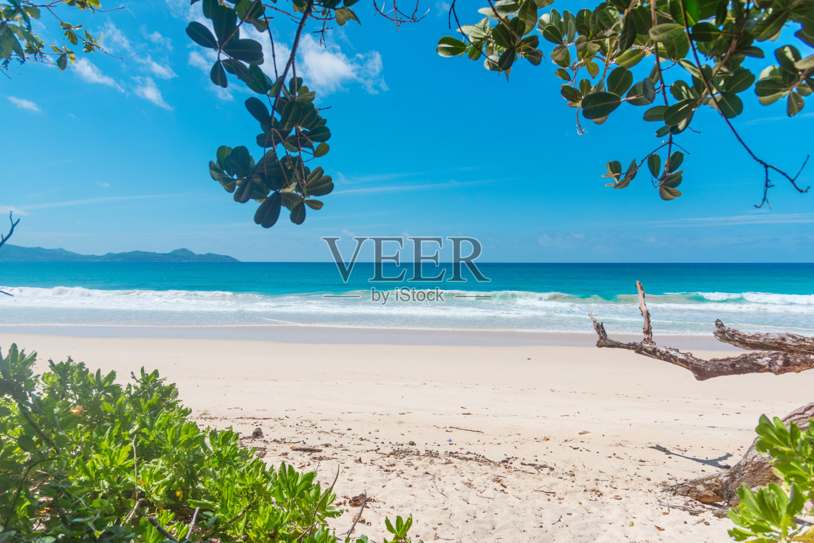 大安斯海滩的白色沙滩照片摄影图片