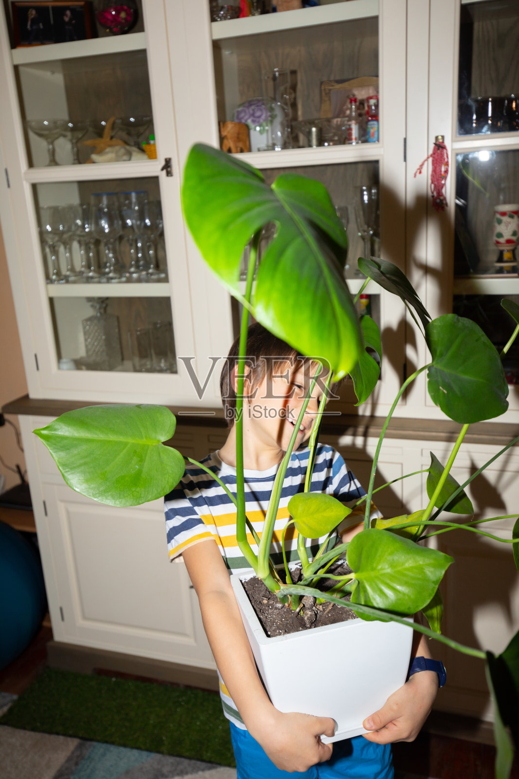 男孩拿着一朵花看着镜头照片摄影图片