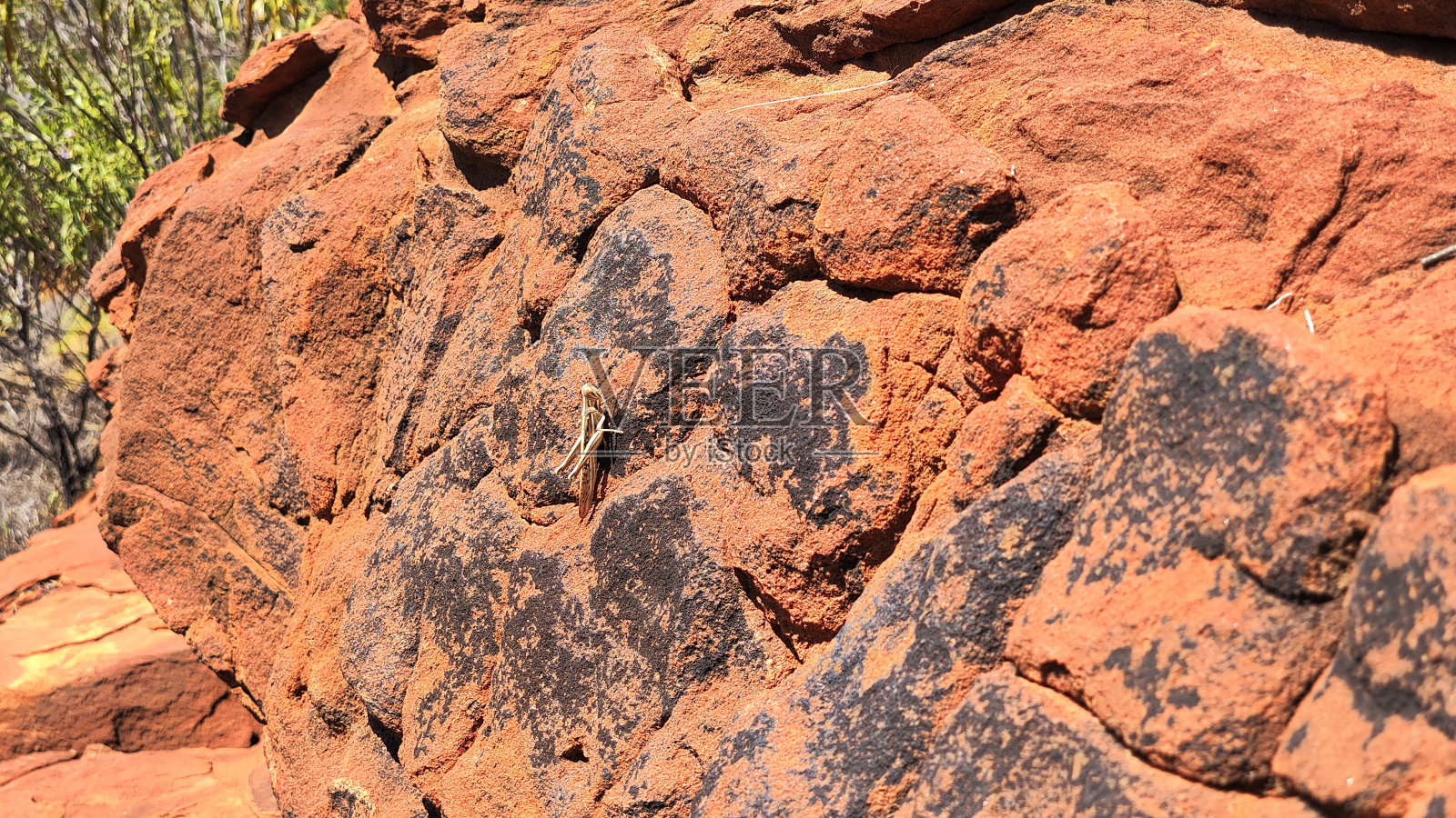 澳大利亚北领地的绝对内陆照片摄影图片