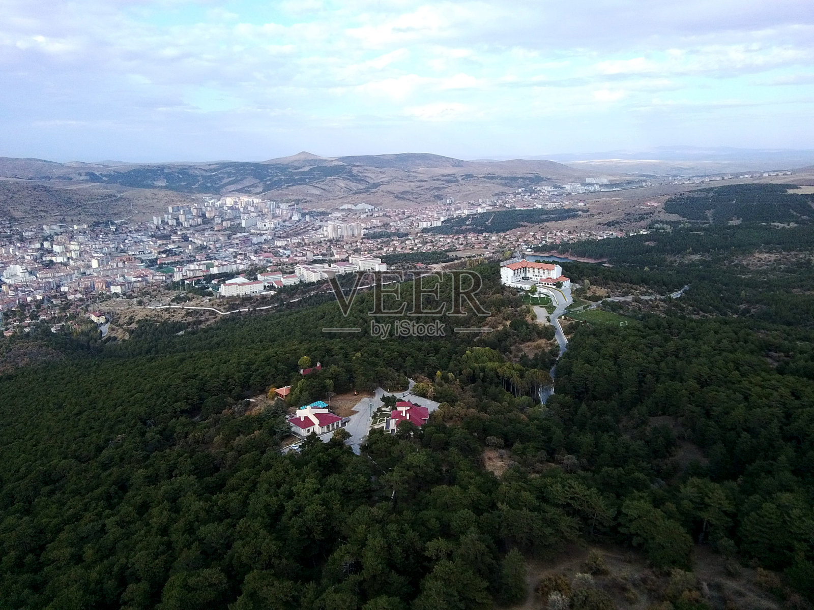 位于土耳其中部的约兹加特市。尤兹加特松林国家公园。用无人机在特有松树的森林中航拍。照片摄影图片