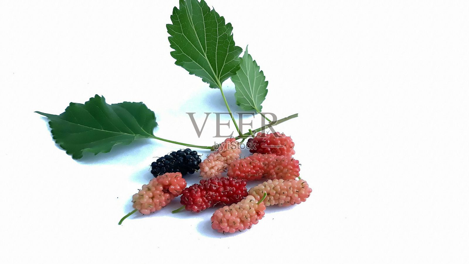 一堆桑葚果实照片摄影图片