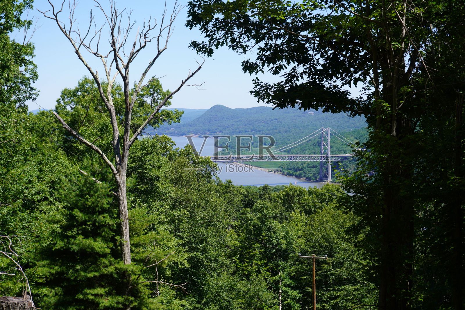 俯瞰河流、桥梁和树林中的树木照片摄影图片