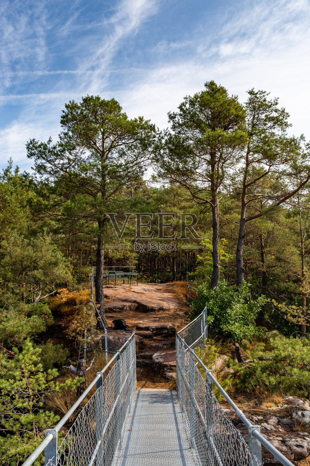 德国莱茵兰-普法尔茨州达恩洛克兰的步行道和通往洛克汉菲尔斯的桥照片摄影图片