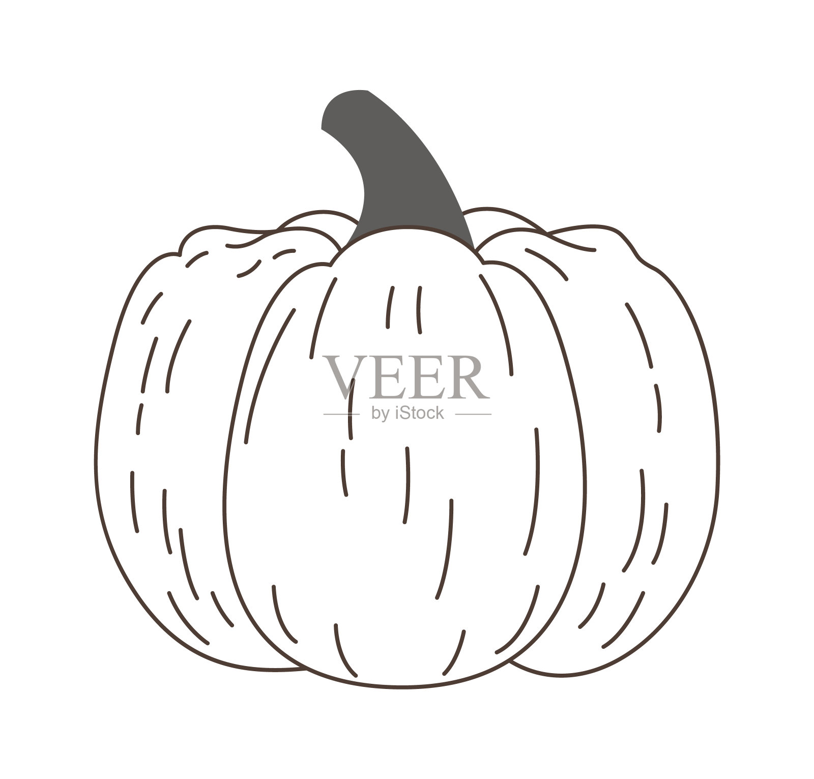 直线南瓜蔬菜插画图片素材