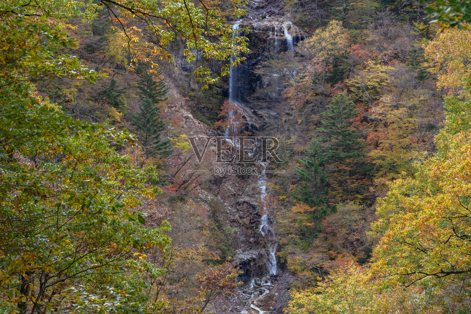饶在秋天落下来照片摄影图片