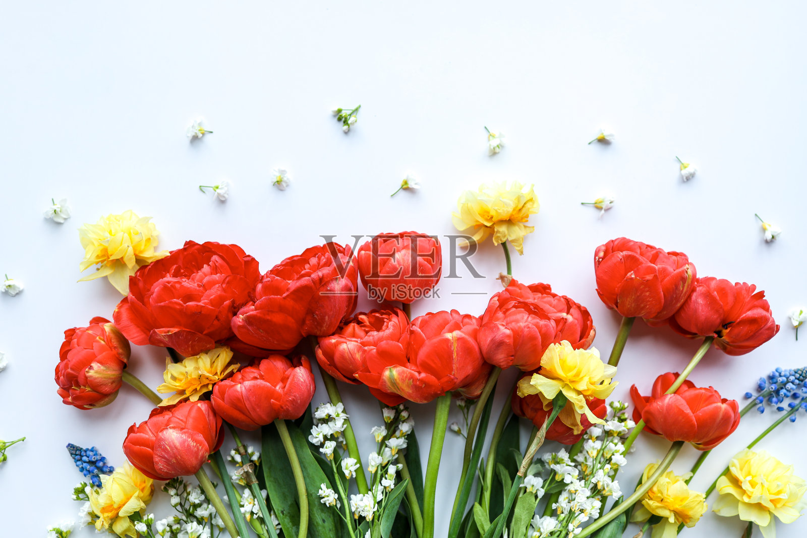 美丽清新的春花背景照片摄影图片