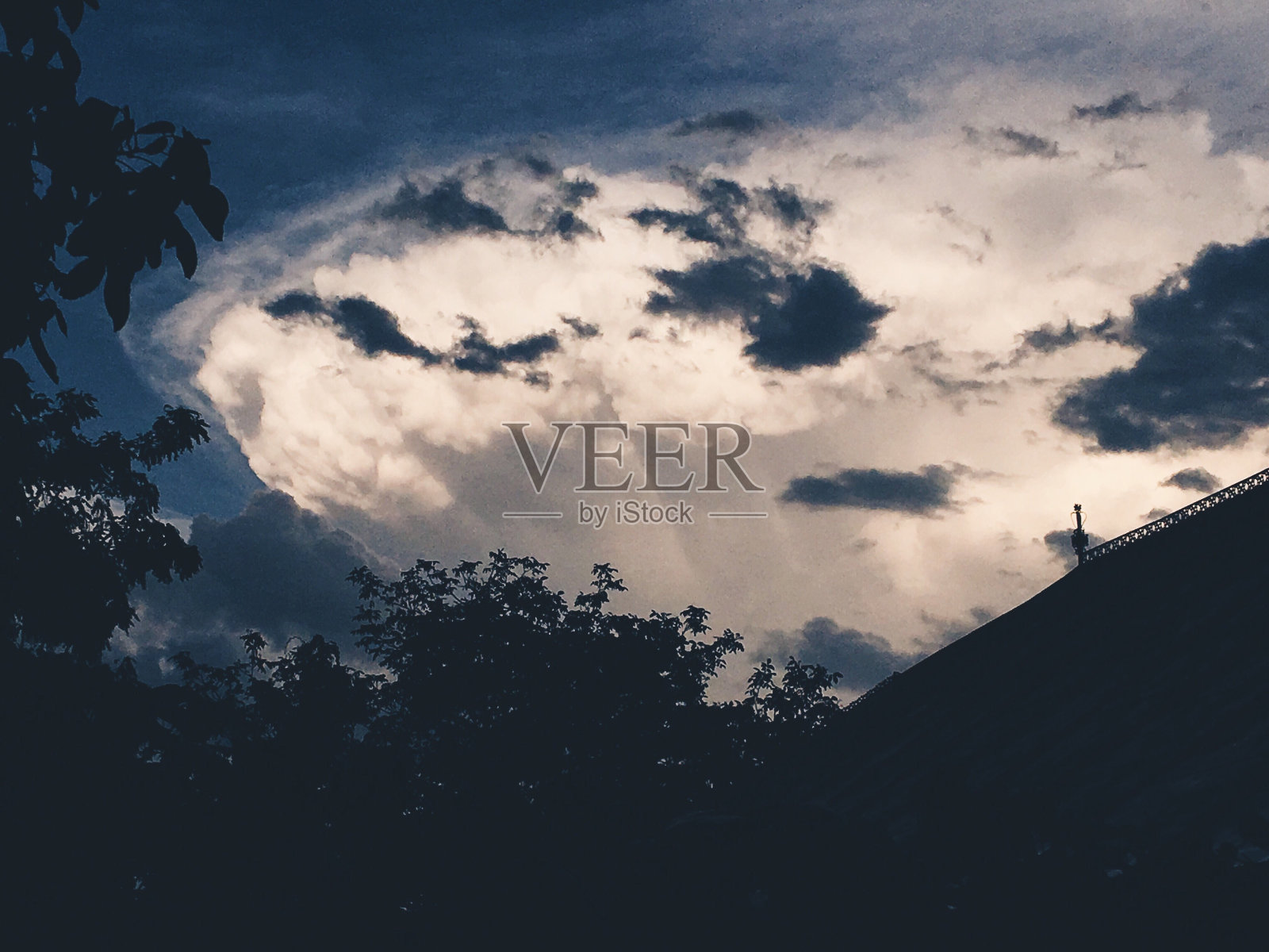 低角度看树对多云的天空照片摄影图片