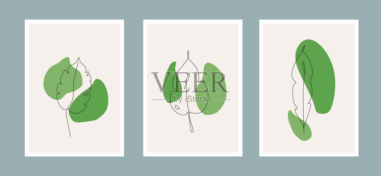 自然插图植物叶片矢量。插画图片素材