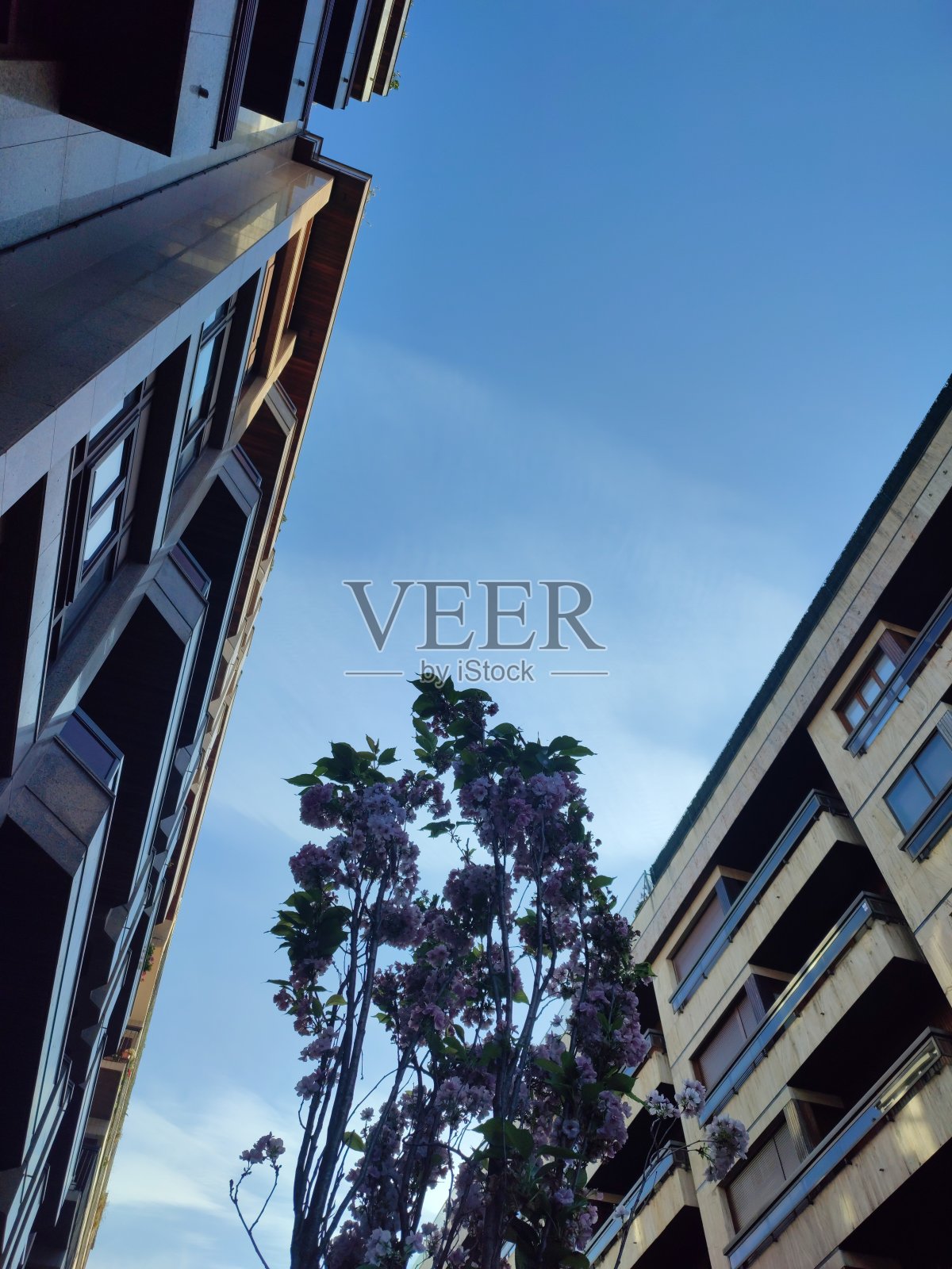 良好氛围照片摄影图片