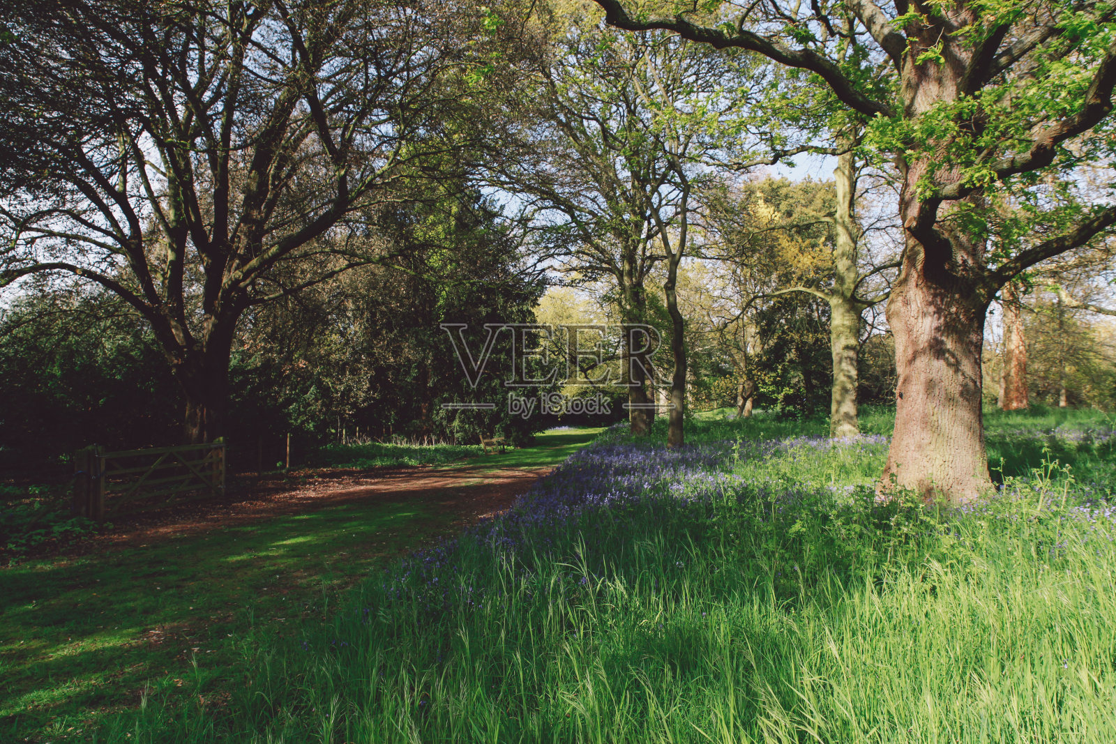 草地美景照片摄影图片