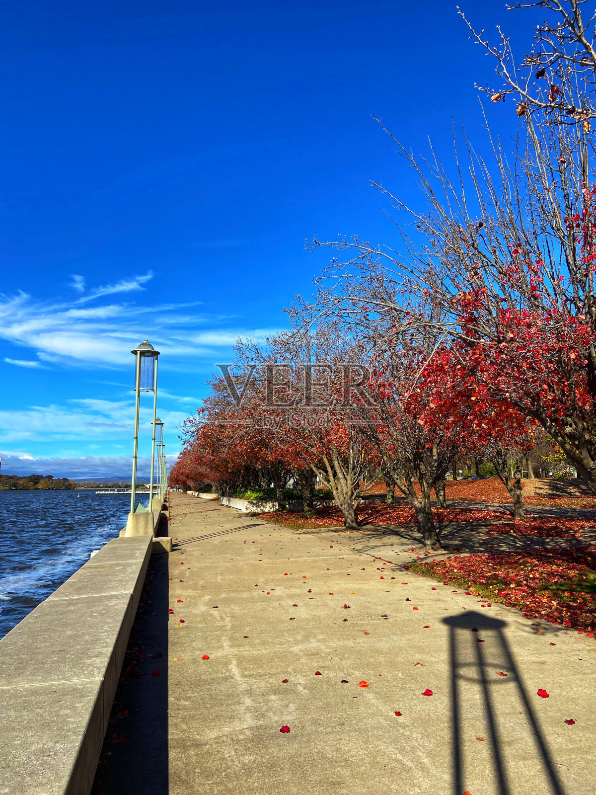 湖与秋树之间的步道照片摄影图片
