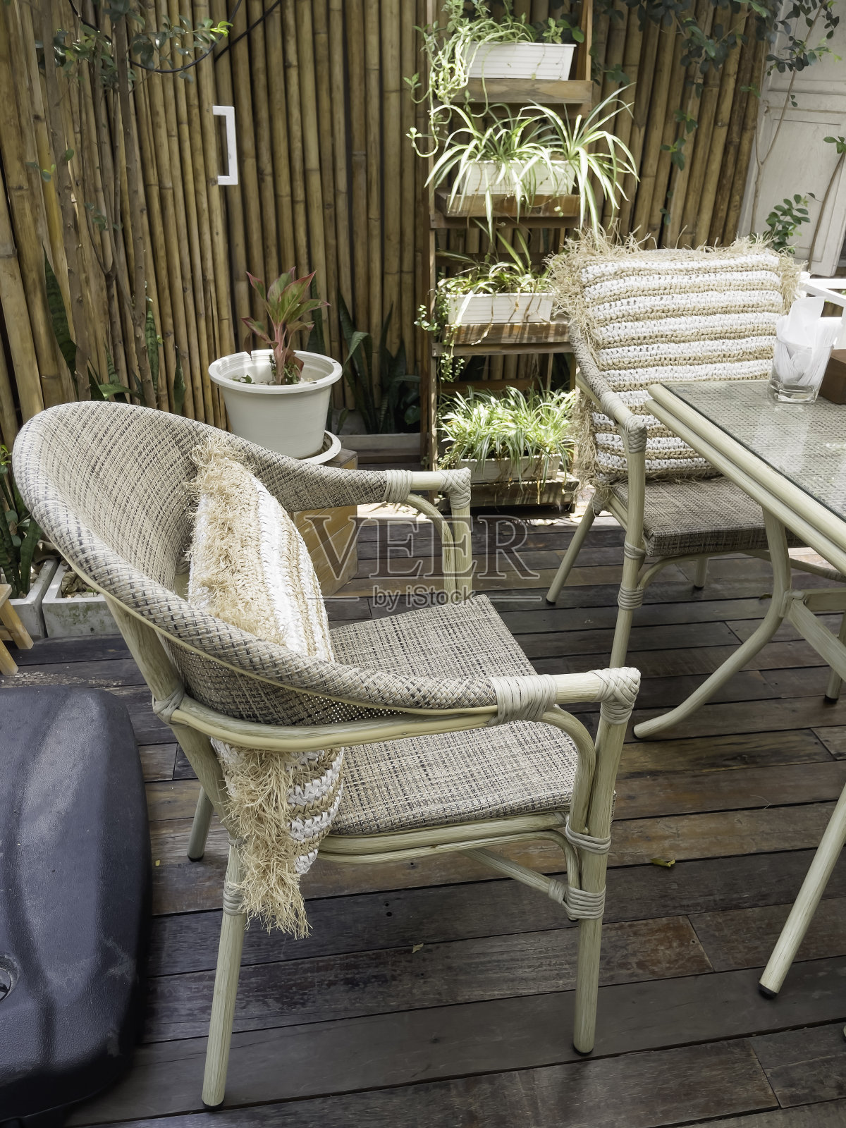 绿色的蕨叶点缀在花园里照片摄影图片