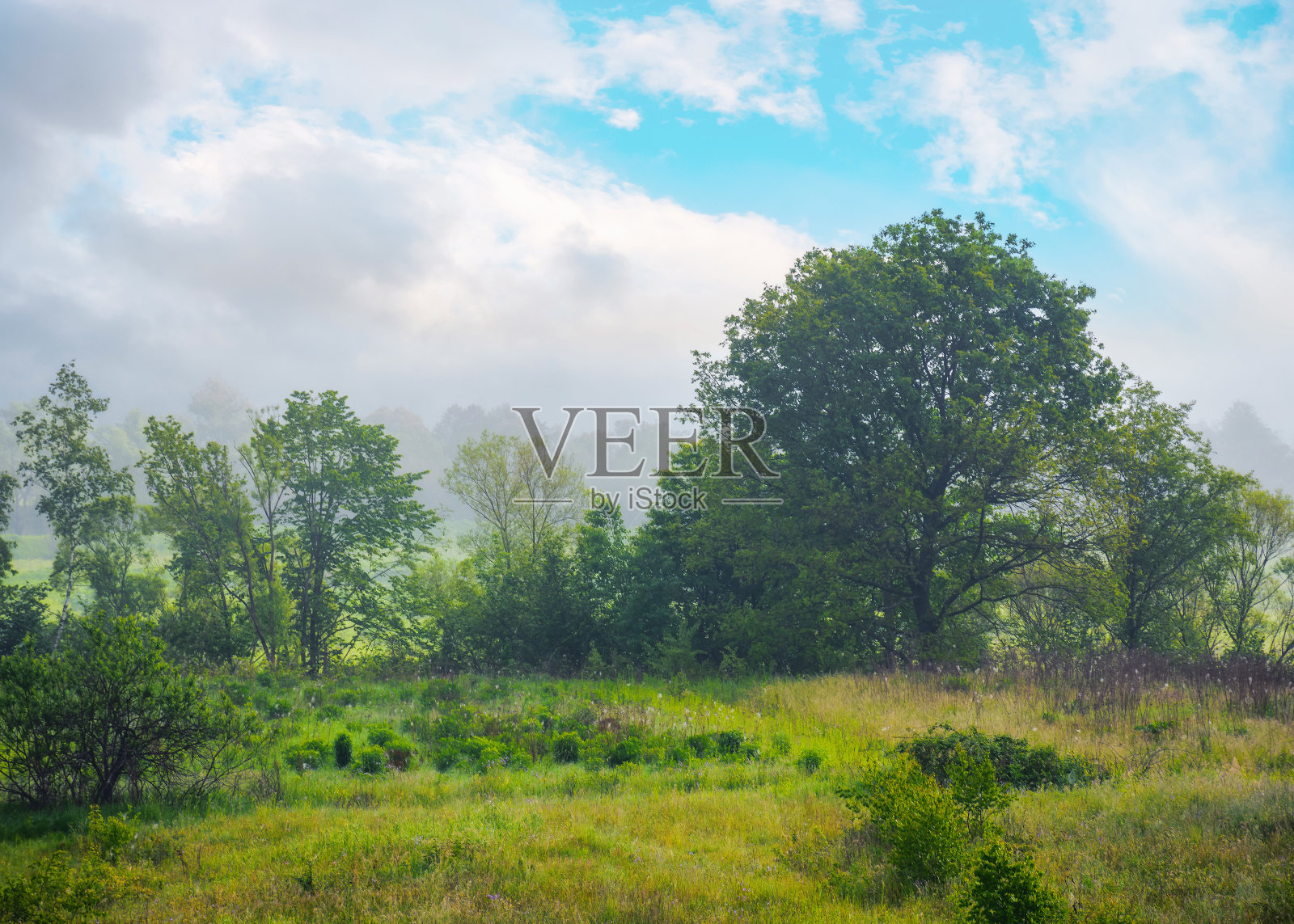 日出时雾蒙蒙的乡村风光照片摄影图片