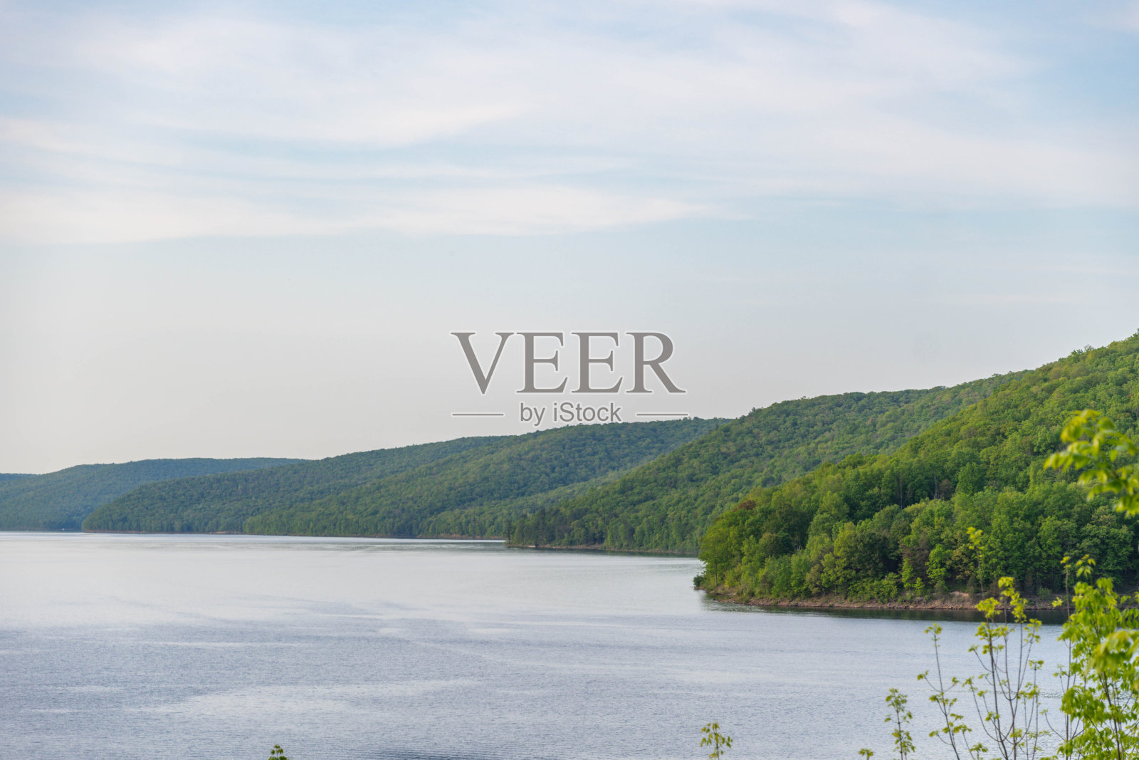 阿勒格尼国家森林信息金祖阿点复制空间背景度假目的地照片摄影图片