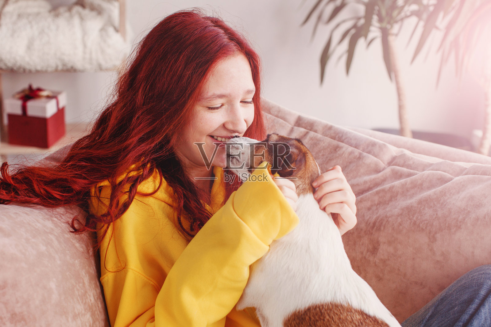 十几岁的女孩在家里的沙发上抱着狗照片摄影图片