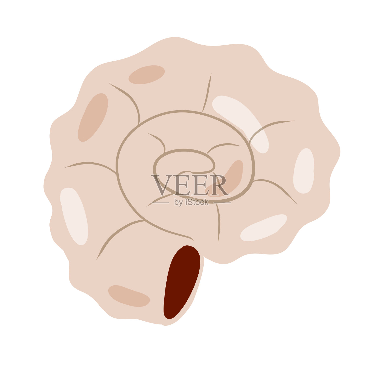 蜗牛或软体动物的螺旋壳。插画图片素材