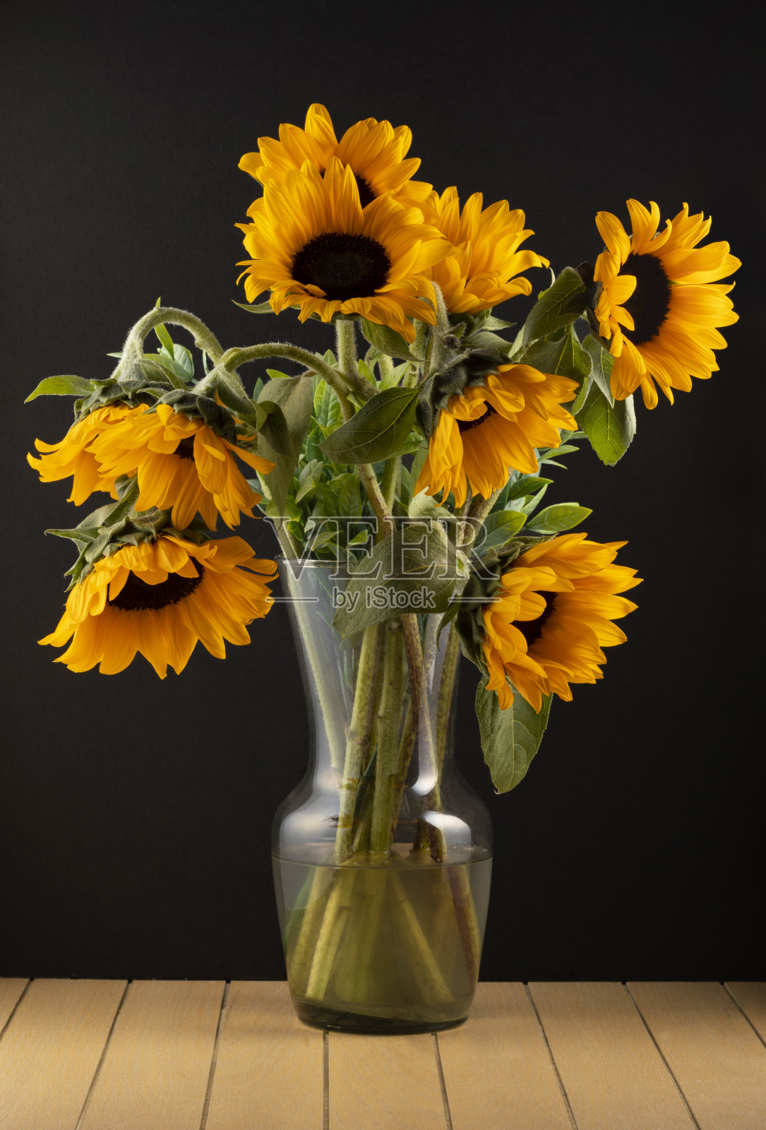 黑色背景上黄色向日葵的彩色花卉装饰照片摄影图片