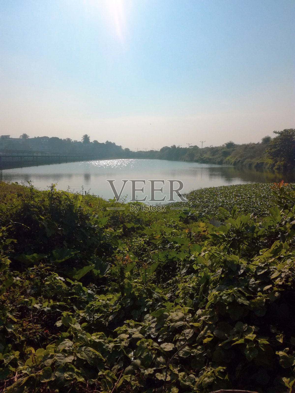 平静的一天。照片摄影图片