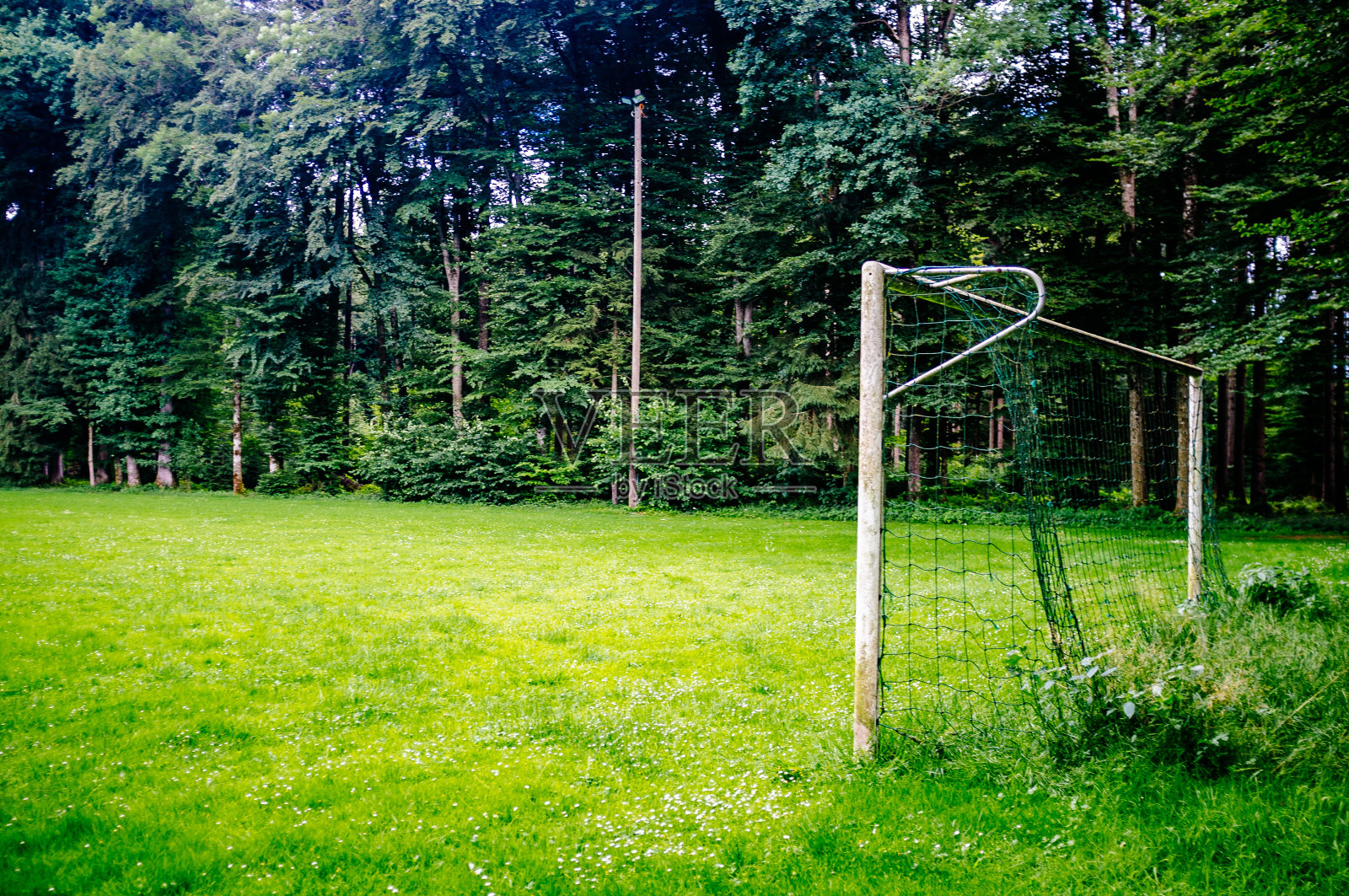 草地上的足球进球照片摄影图片