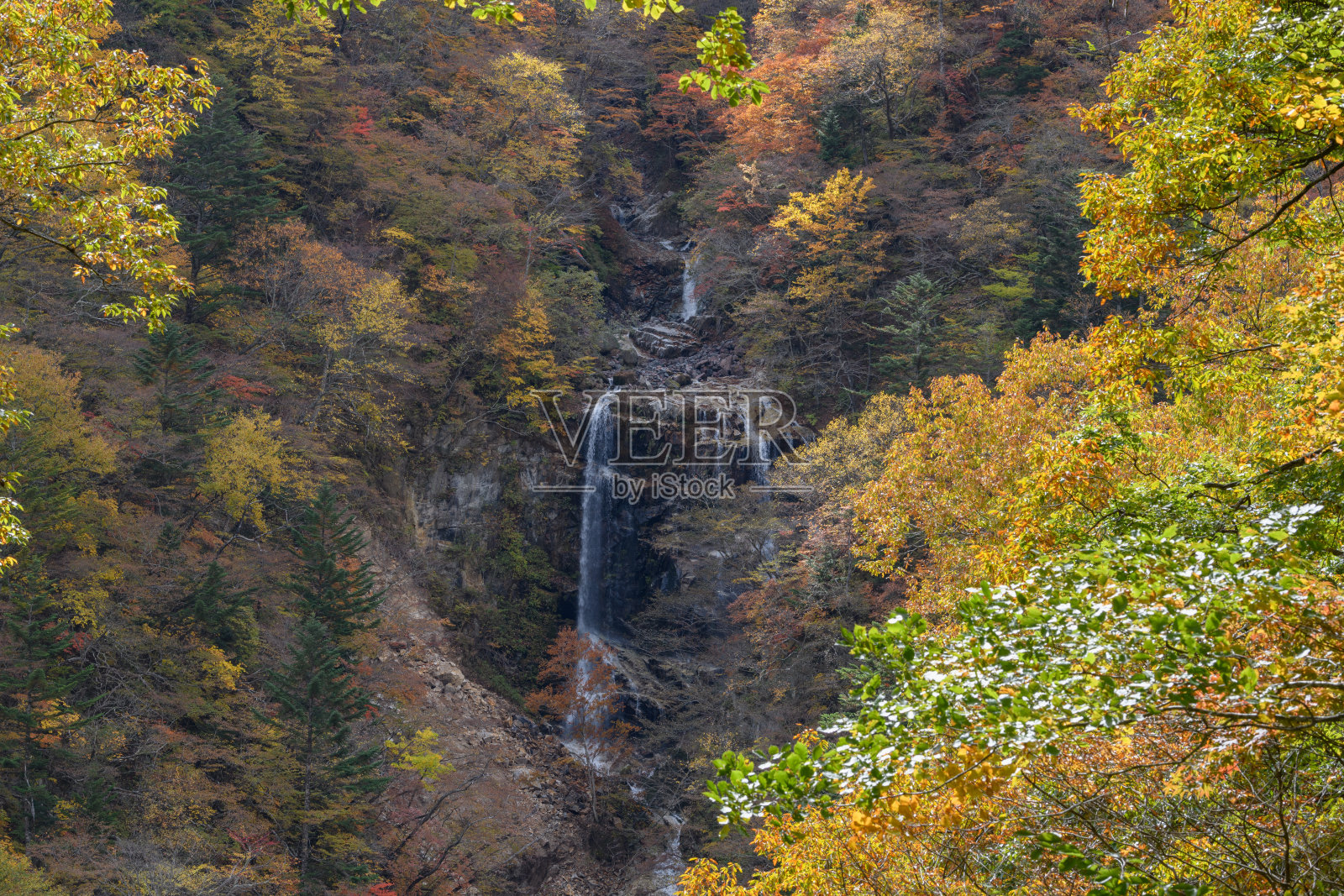 饶在秋天落下来照片摄影图片