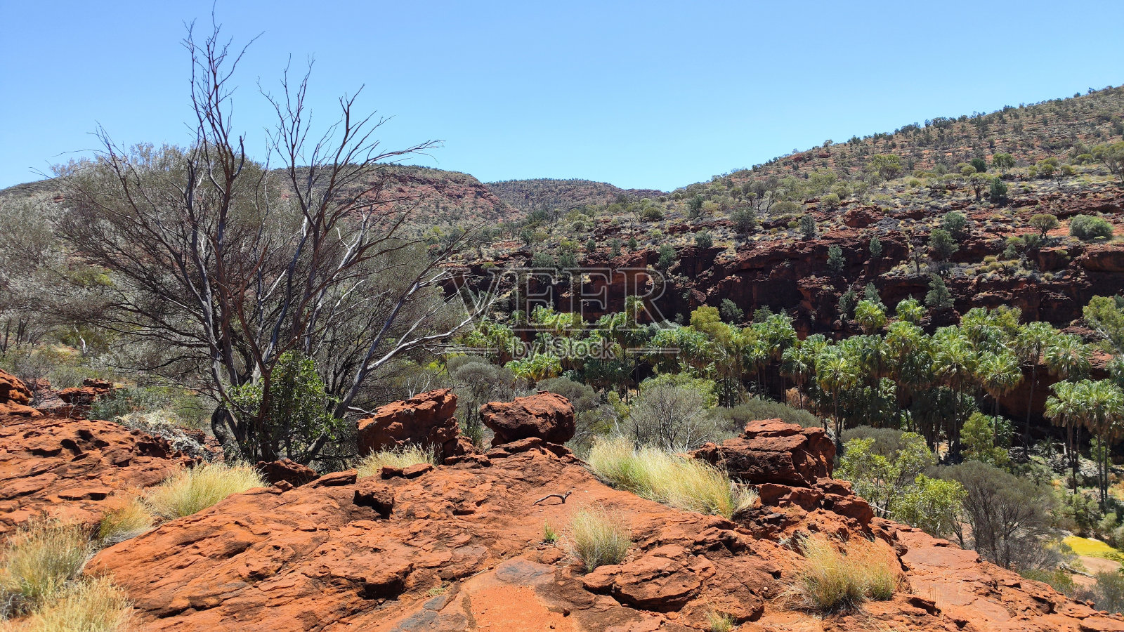 澳大利亚北领地的绝对内陆照片摄影图片