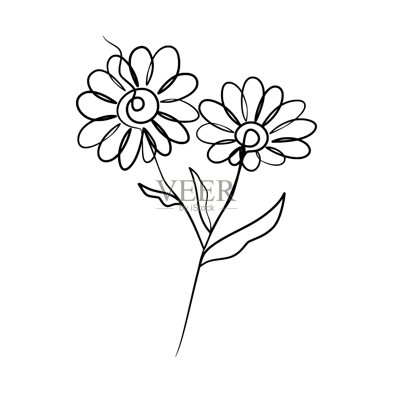 连续的一行艺术画美丽的雏菊花插画图片素材