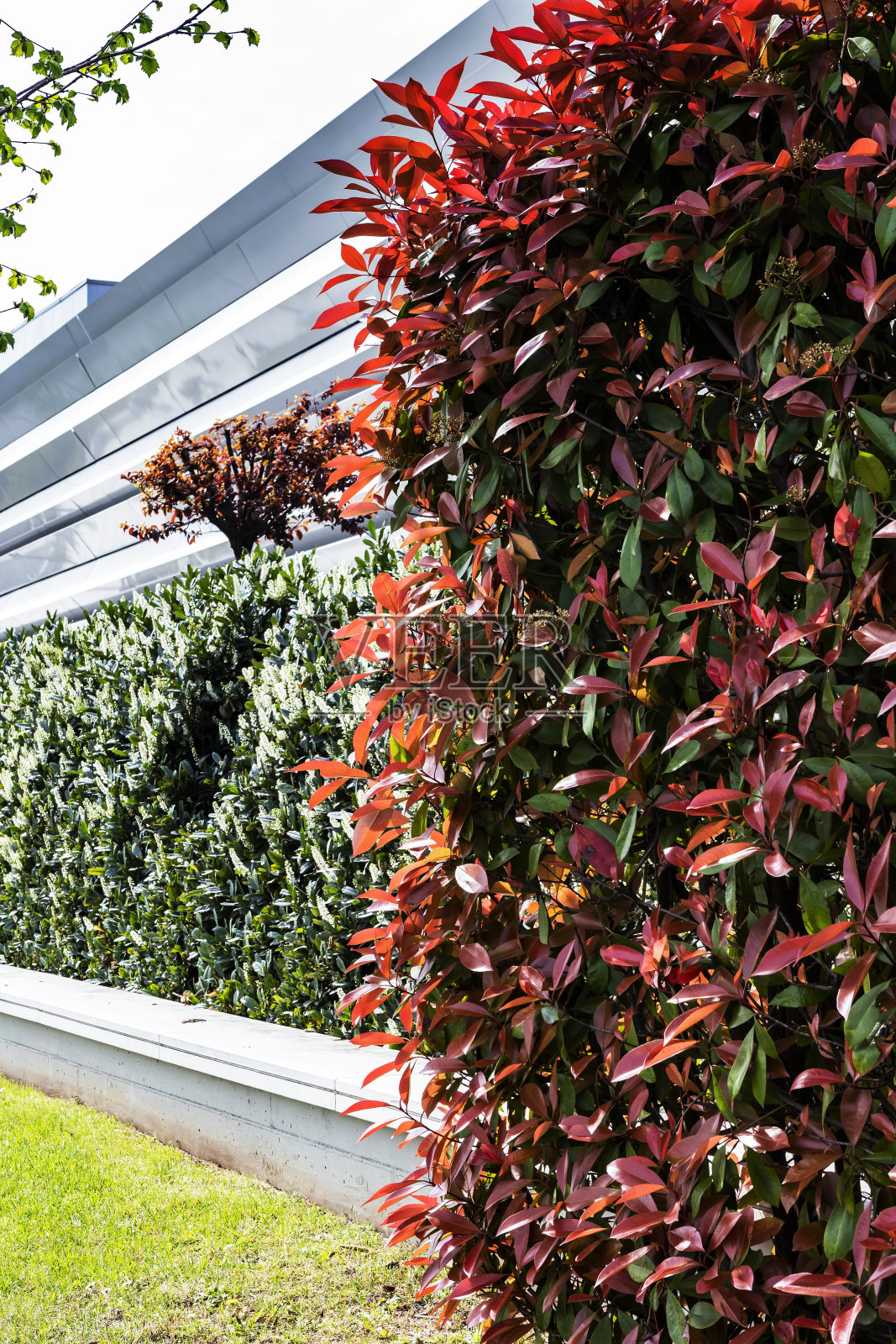 被花园包围的购物中心照片摄影图片