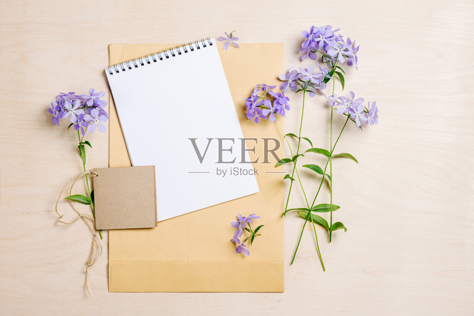 木制背景上的空白笔记本和蓝色野花的模型。照片摄影图片