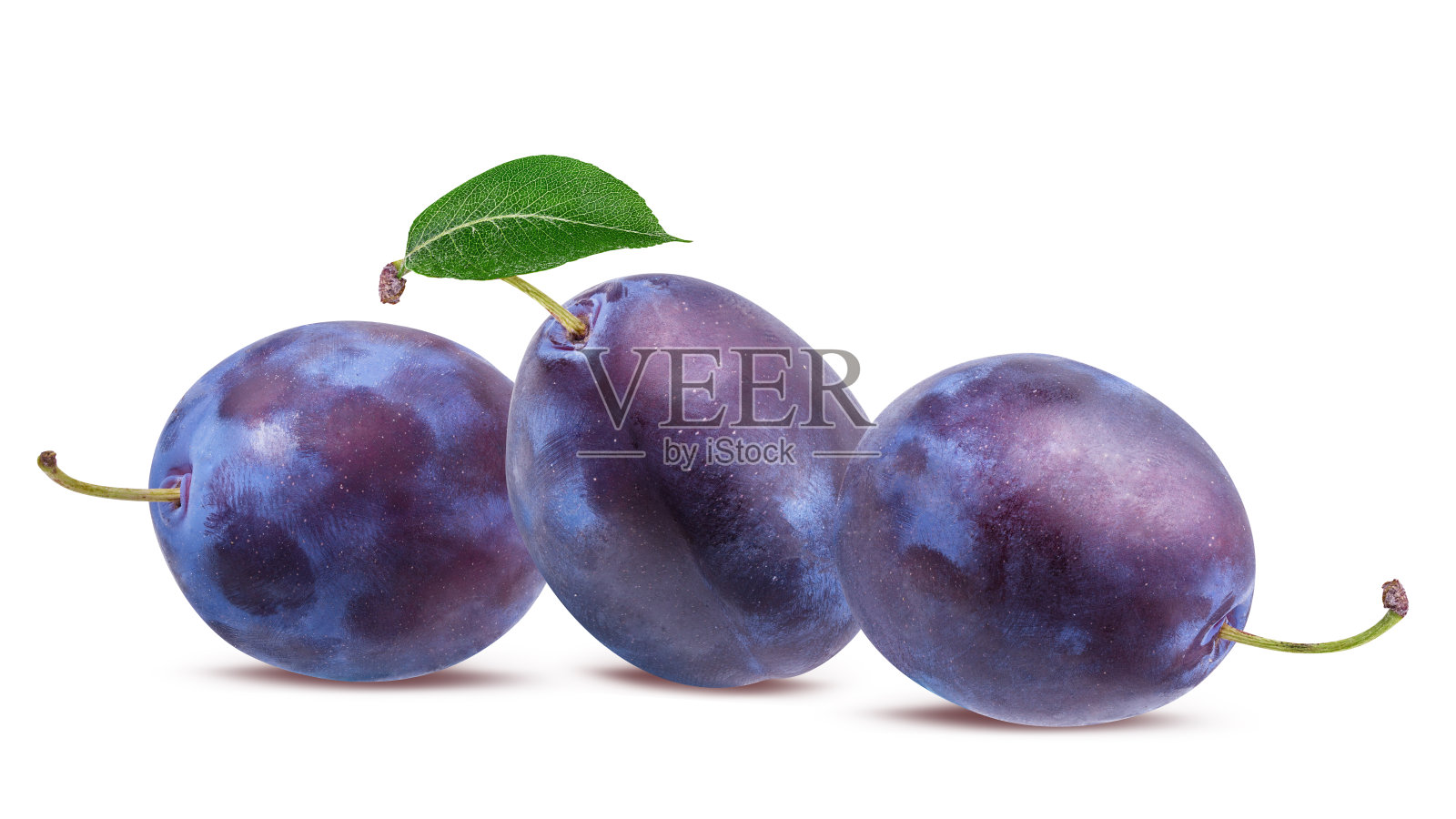 在白色背景上与叶子分离的李子照片摄影图片