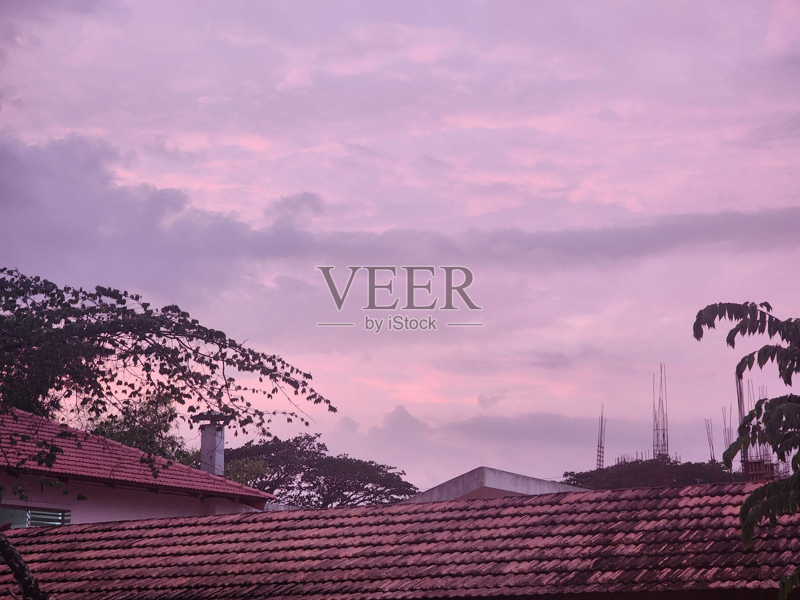 天空是粉红色的照片摄影图片