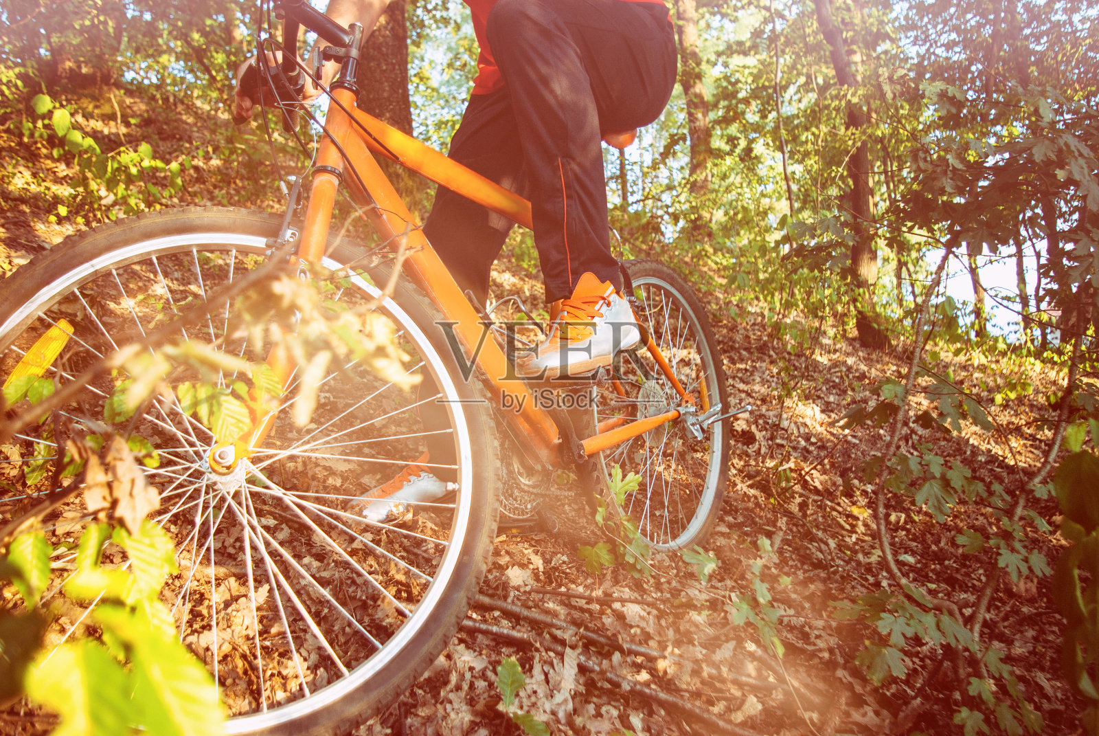 一个人在森林里骑自行车照片摄影图片