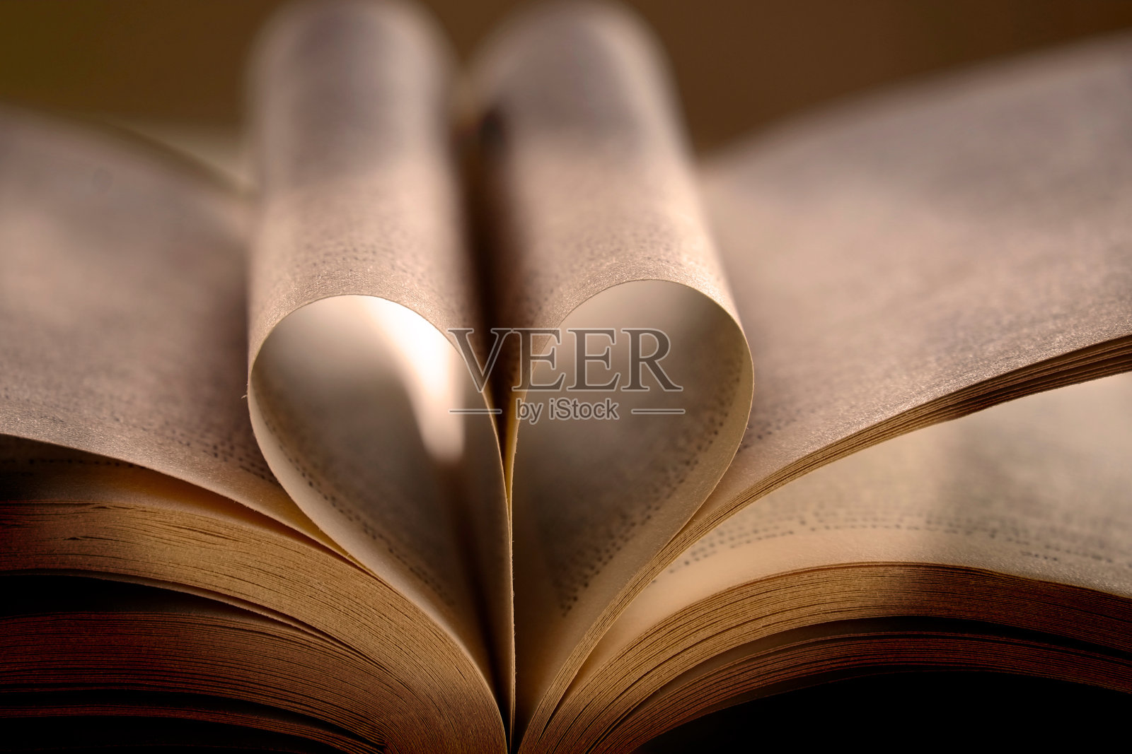 打开的书的特写照片摄影图片