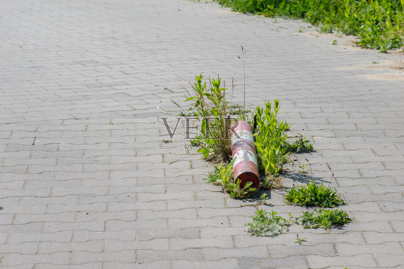 白色和红色的屏障挡住了停车场的入口，在一个躺着的位置，折叠，杂草丛生照片摄影图片
