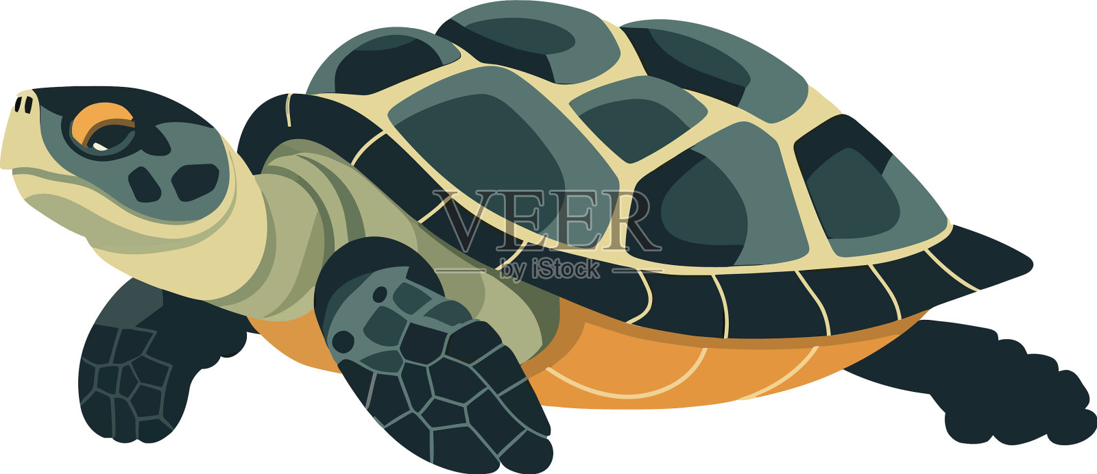 缓慢的乌龟爬行与可爱的龟壳设计元素图片