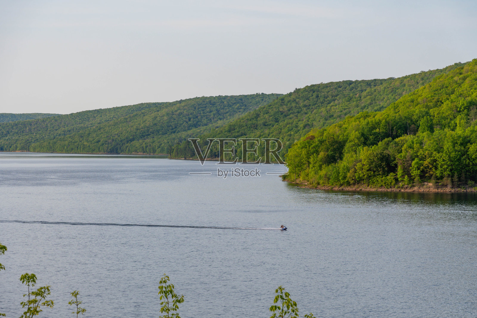 阿勒格尼国家森林信息金祖阿点复制空间背景度假目的地照片摄影图片