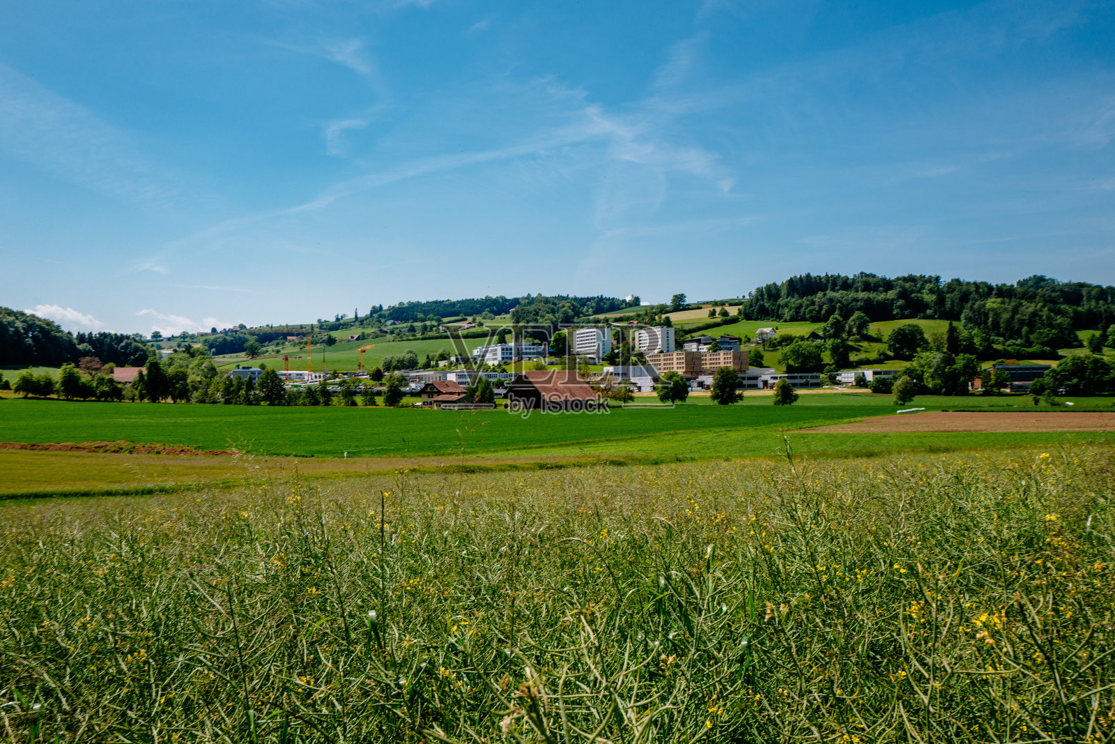 天空衬托下的田野风景照片摄影图片