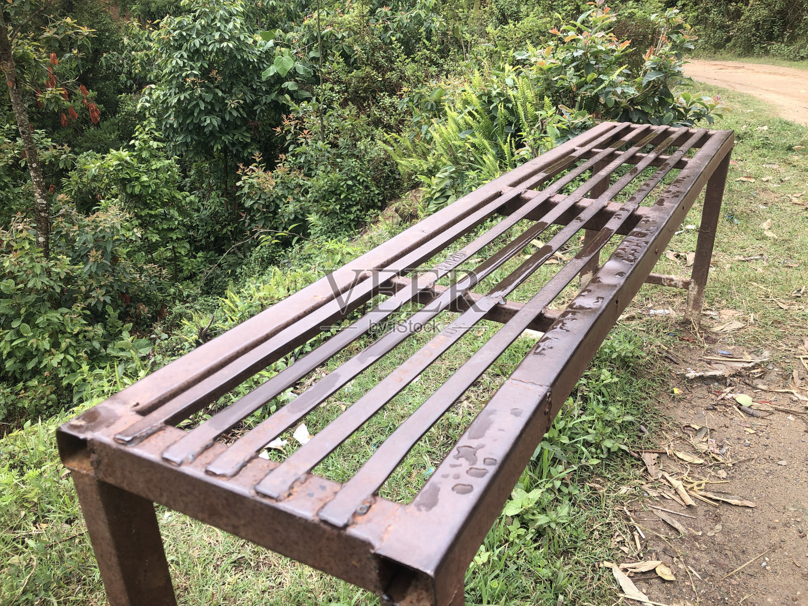 郁郁葱葱的绿色田野与公园长凳从上面看。照片摄影图片